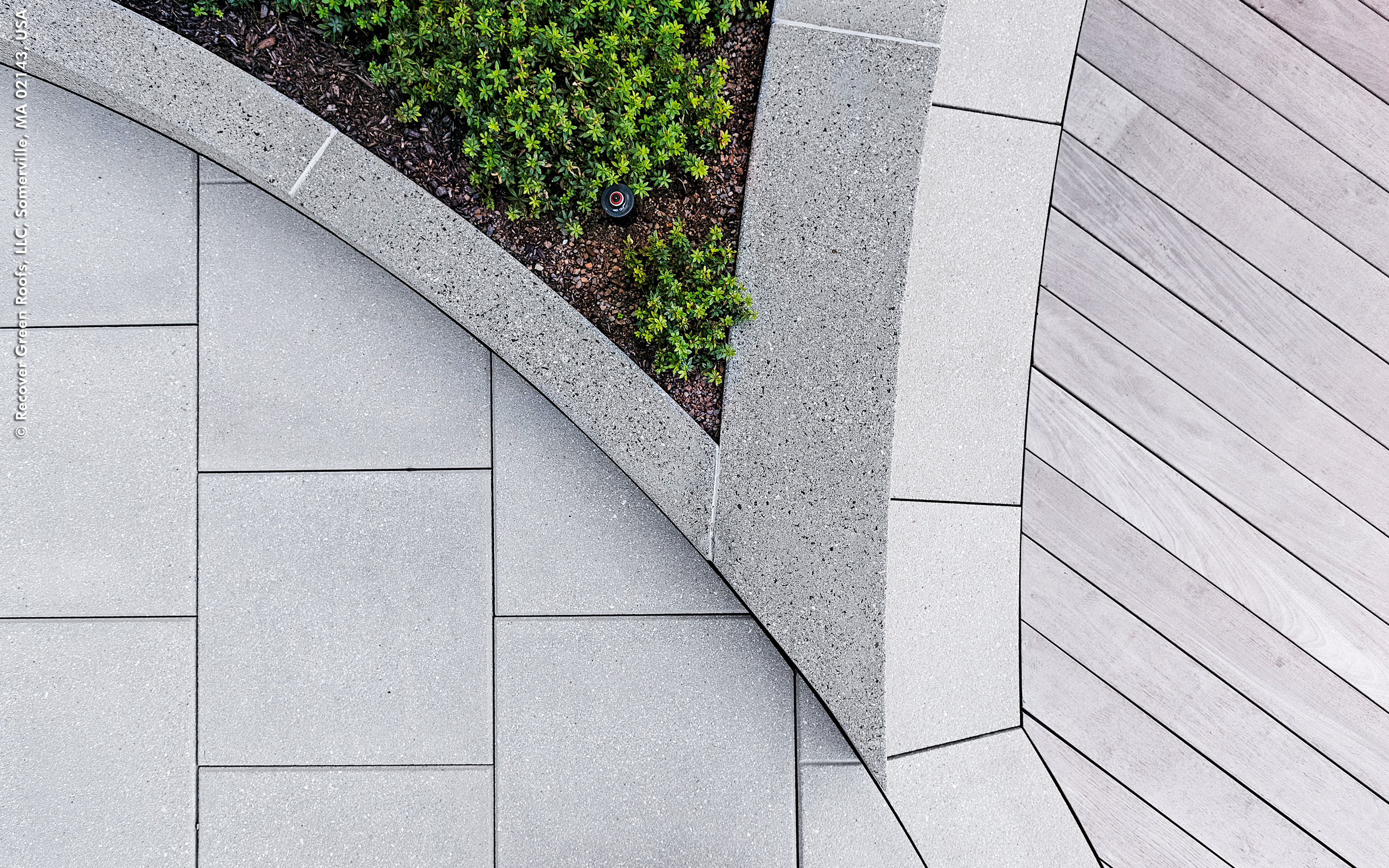 Walkways and plant bed with curbs